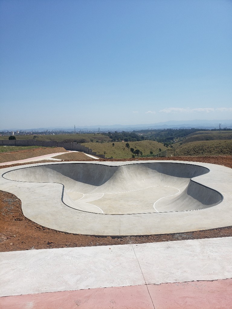 bowl banks skate